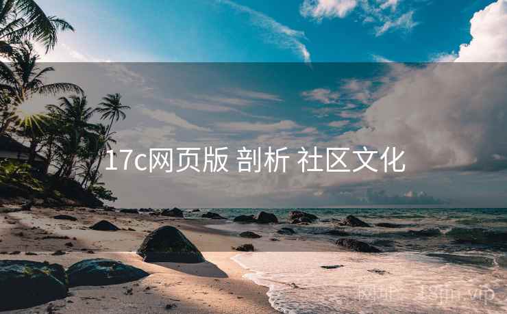 17c网页版 剖析 社区文化