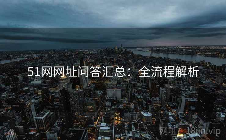 51网网址问答汇总：全流程解析