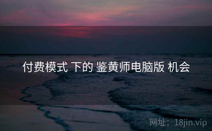 付费模式 下的 鉴黄师电脑版 机会