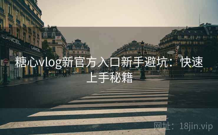 糖心vlog新官方入口新手避坑：快速上手秘籍