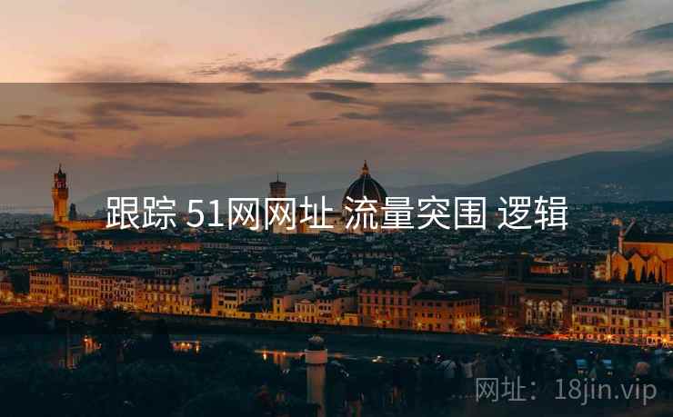 跟踪 51网网址 流量突围 逻辑