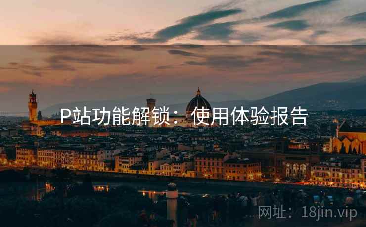 P站功能解锁：使用体验报告
