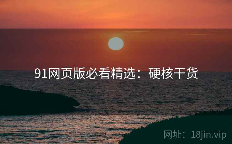 91网页版必看精选：硬核干货
