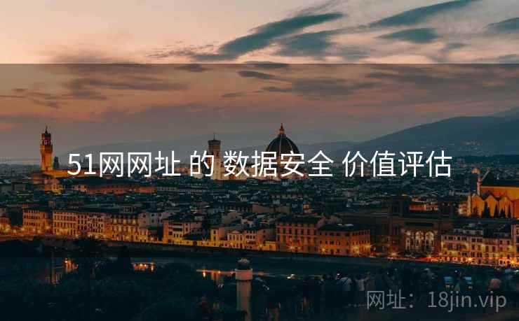 51网网址 的 数据安全 价值评估