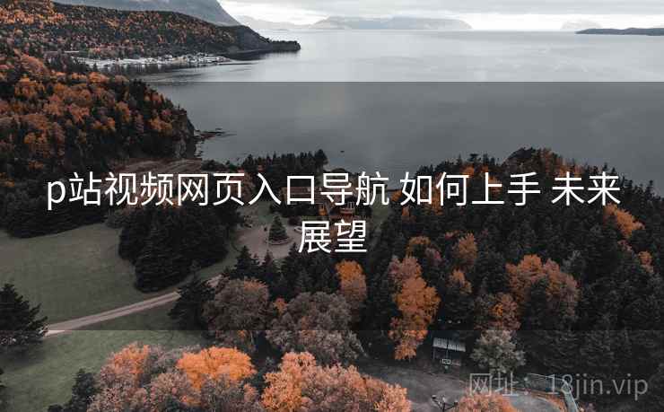 p站视频网页入口导航 如何上手 未来展望