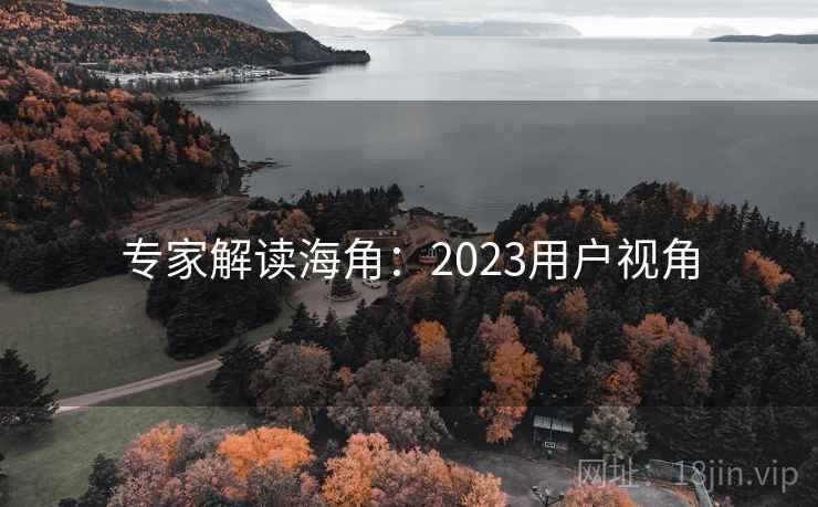 专家解读海角：2023用户视角