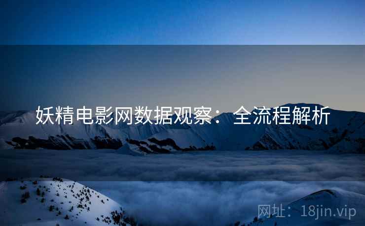 妖精电影网数据观察：全流程解析