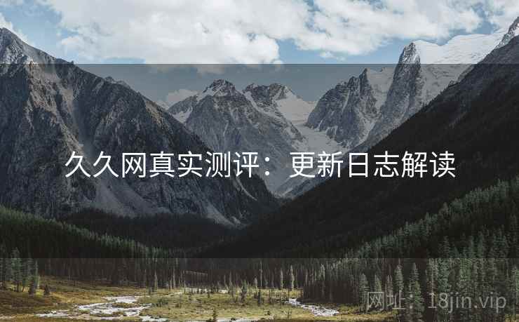 久久网真实测评：更新日志解读