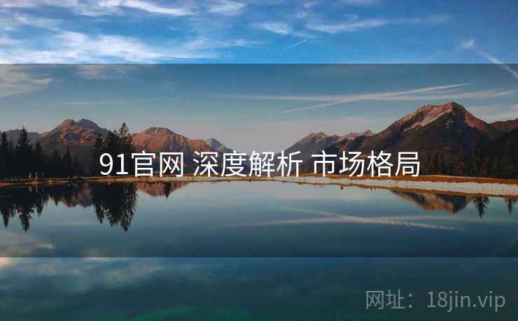 91官网 深度解析 市场格局