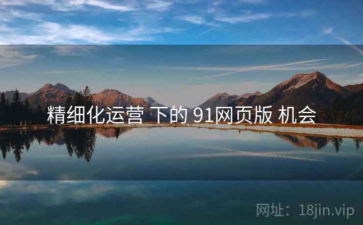 精细化运营 下的 91网页版 机会